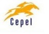 1&Acirc;&ordm; Adendo Campeonato Mineiro Cepel