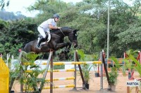 COMUNICADO CAVALOS NOVOS SUMMER TOUR CURITIBA