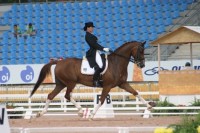 International Riding & Dressage Meeting Coudelaria Ilha Verde 2013