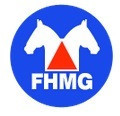 Festa de Premiação do Ranking da FHMG e InterClubes