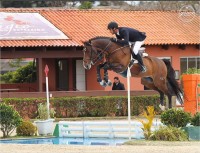 Os campeões do ranking brasileiro de Salto 2017