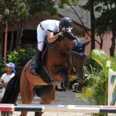 Transmissão ao Vivo 28º CSI-W Indoor – SHPTV – HorsePix