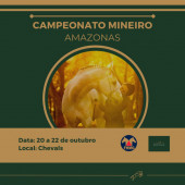 Adendo I - Campeonato Mineiro Amazonas