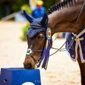 RANKING COPA MINAS FHMG 2020