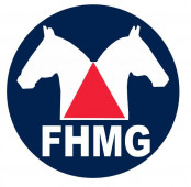 FORMAÇÃO DAS EQUIPES DA FHMG