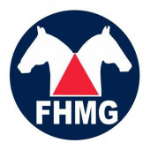 FHMG - Grupo de Notícias