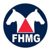 FORMAÇÃO DAS EQUIPES DA FHMG