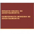 Confira o Programa Campeonato Mineiro de Adestramento - Desafio Brasil CBH - Local: Centro Hípico Vila Boa Vista- MG